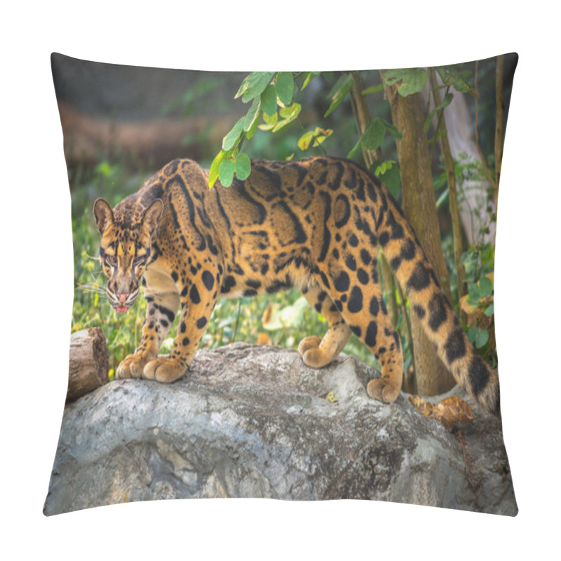 Personality  Clouded Leopard Neofelis Nebulosa Pillow Covers