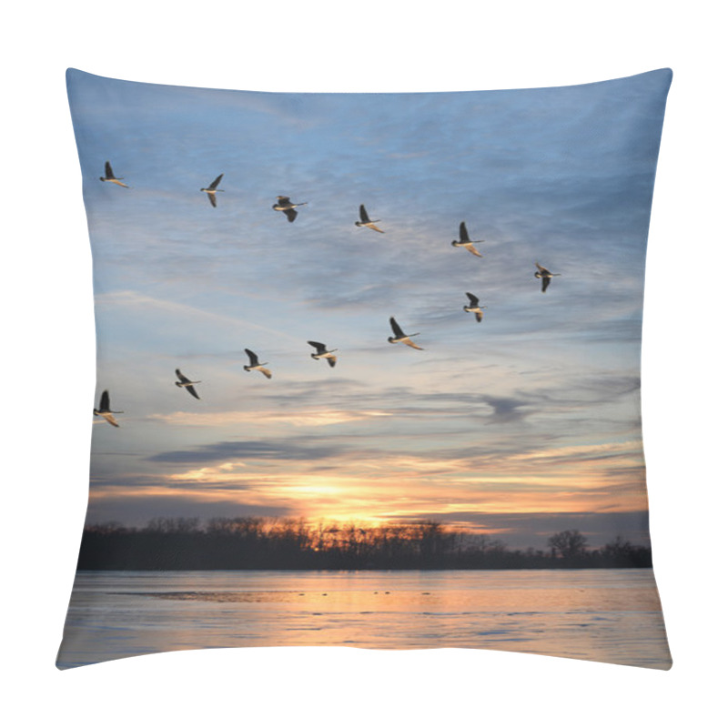 Personality  Canadian Geese Flying In Formation Pillow Covers