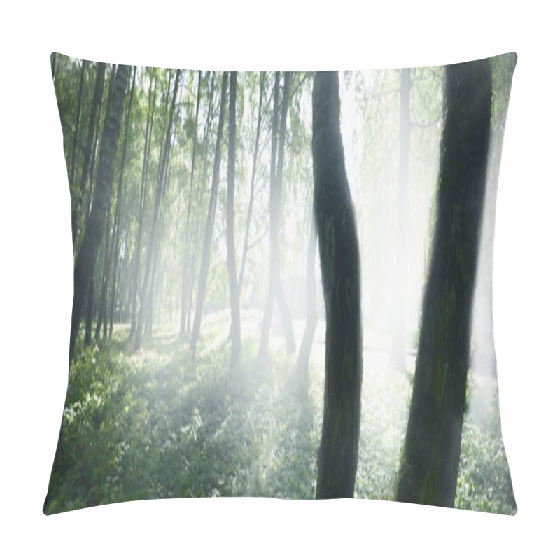 Personality  Green Birch Forest On A Clear Sunny Day. Public Park. Tree Trunks Close-up. Pure Sunlight, Daylight, Sunbeams. Ecology, Eco Tourism, Nordic Walking, Landscape Design, Landscaping Pillow Covers