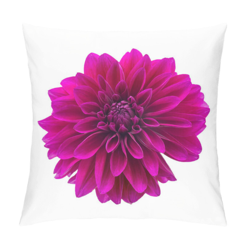 Personality  Purple Autumn Dahlias On White Background. Copy Space. Isolated On White Pillow Covers