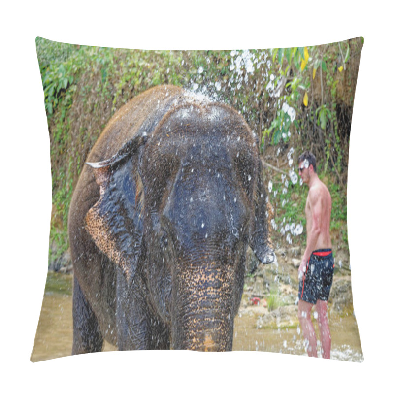 Personality  Bath With Elephants At Krabi Elephant House Sanctuary - Thailand. Travel Destination In Krabi Area - 27th Of January 2020 Pillow Covers