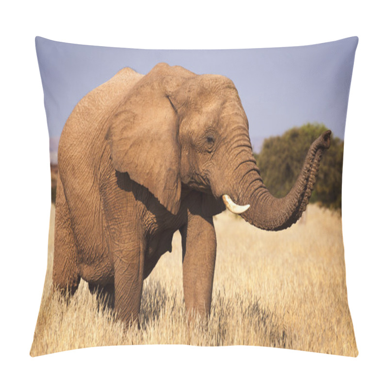 Personality  Elephant In The Savannah, In Namibia, Africa Pillow Covers