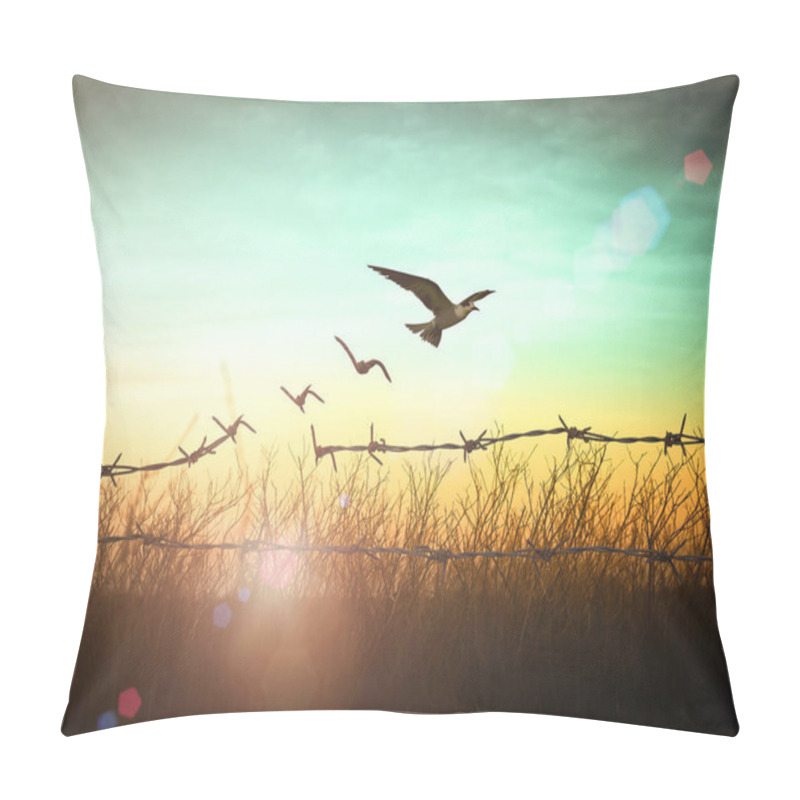 Personality  International Day For The Remembrance Of The Slave Trade And Its Abolition Concept: Silhouette Of Bird Flying And Barbed Wire At Autumn Sunset Background Pillow Covers