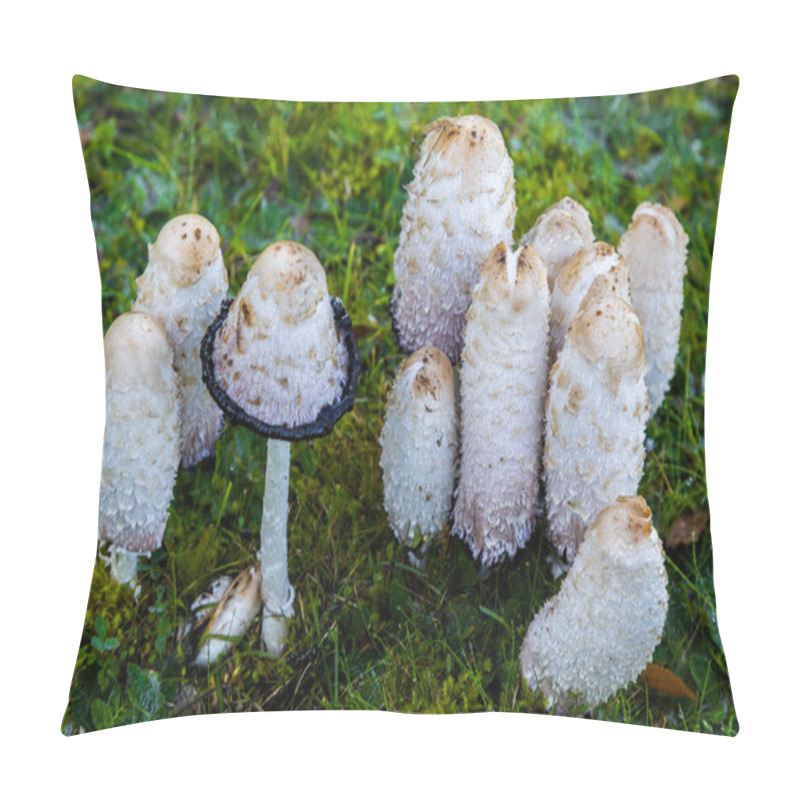 Personality  Ink Mushroom (Coprinus Comatus) Pillow Covers