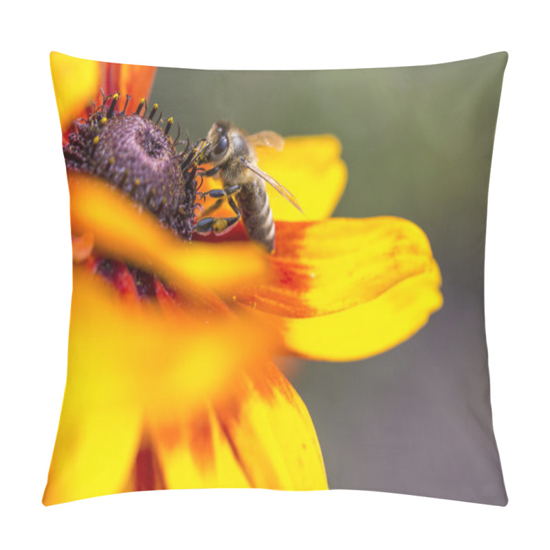 Personality  Close-up Photo Of A Western Honey Bee Gathering Nectar And Spreading Pollen On A Young Autumn Sun Coneflower (Rudbeckia Nitida).  Pillow Covers