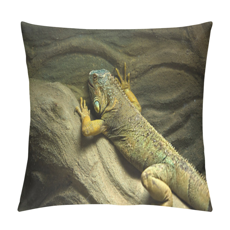 Personality  Green Iguana Pillow Covers