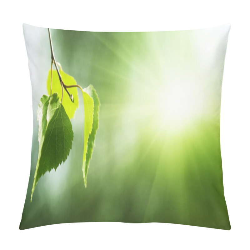 Personality  Leaves Of Birch In Forest Pillow Covers