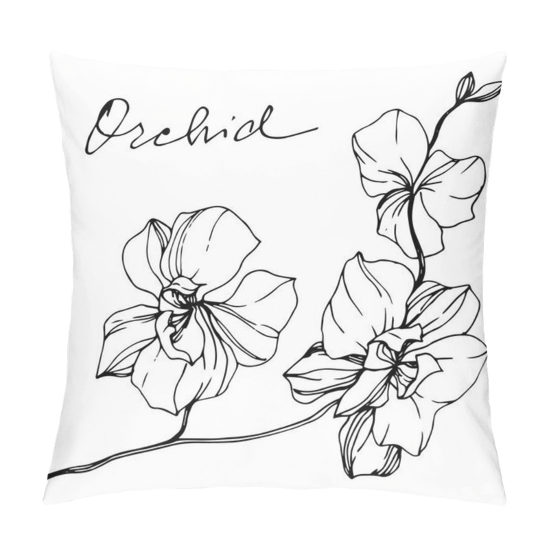 Personality  Vector Monochrome Orchids With Orchid Lettering Isolated On White. Engraved Ink Art. Pillow Covers