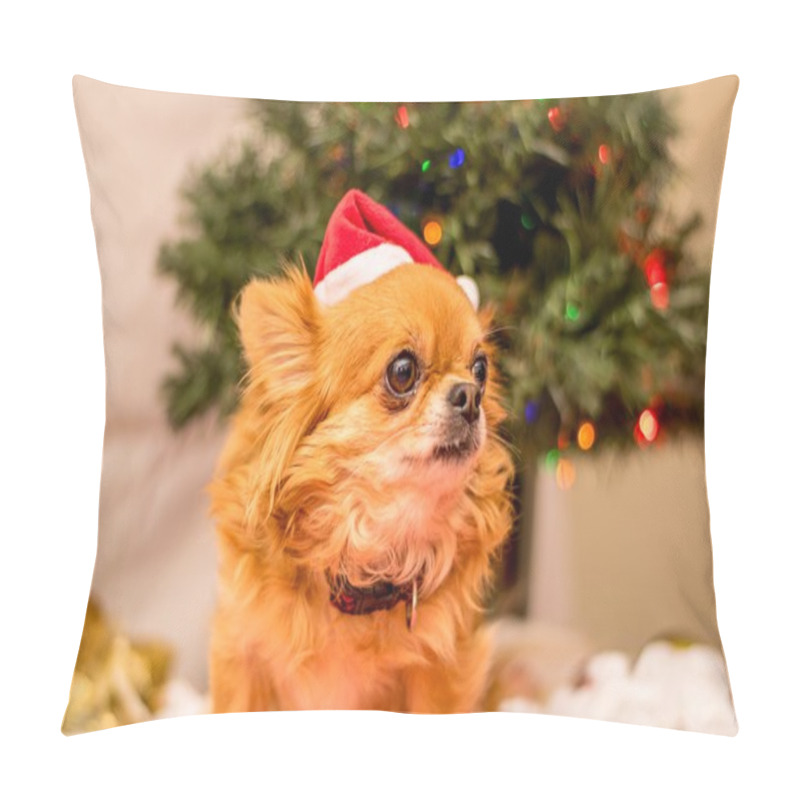 Personality  Long Haired Chihuahua At Christmas Pillow Covers