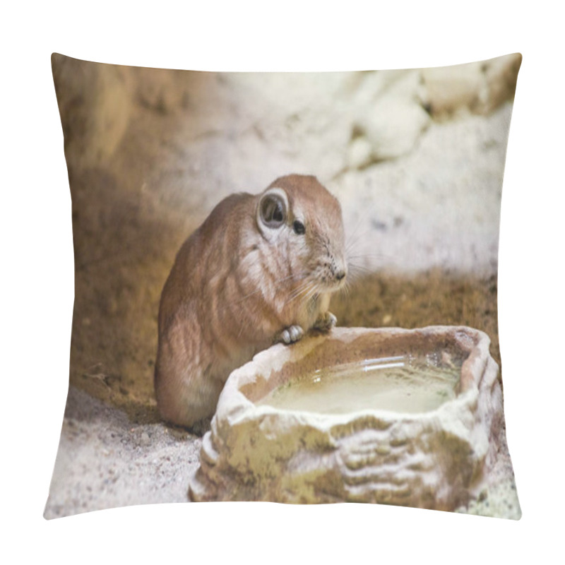 Personality  Mongolian Gerbil At The Water Trough Pillow Covers