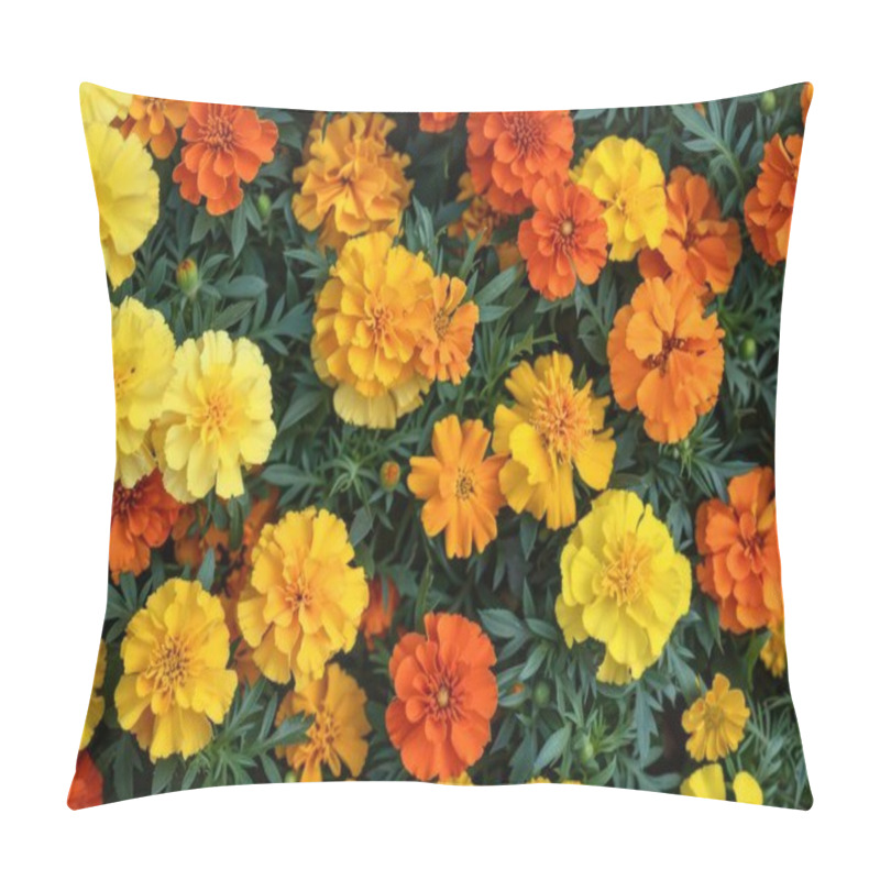 Personality  Vibrant Marigolds In Shades Of Orange, Yellow, And Gold Create A Cheerful Floral Display. Pillow Covers