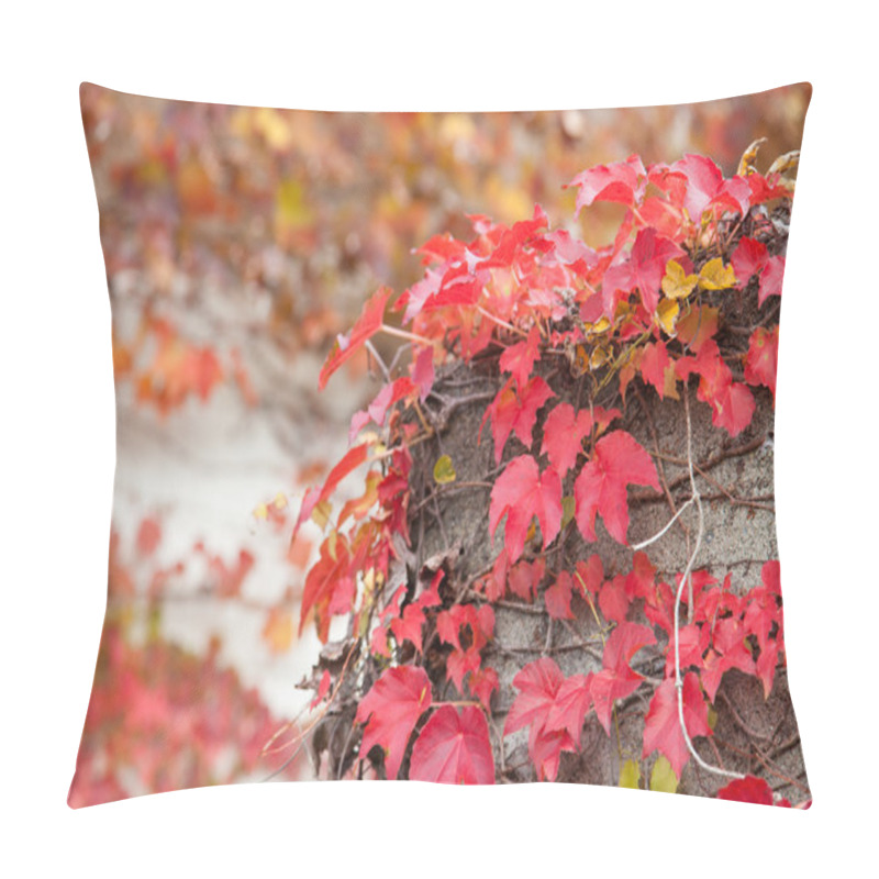 Personality  Leaves Of Ivy That Autumn Leaves Pillow Covers