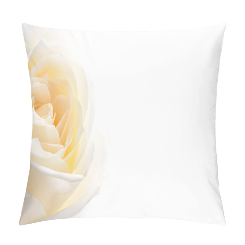 Personality  Rose Flowers Close Up On Background . Pillow Covers