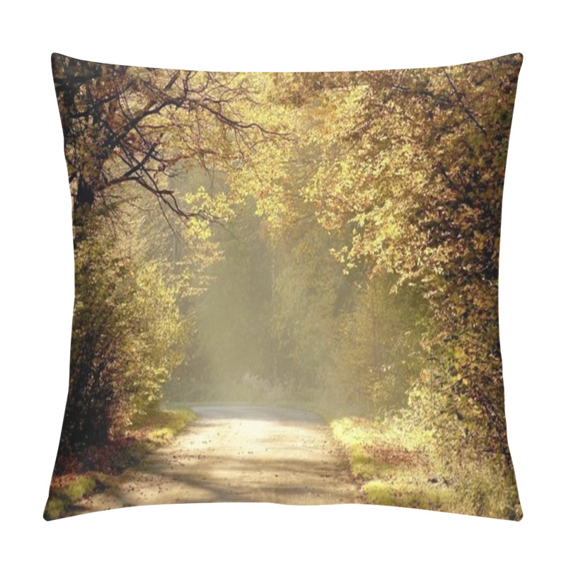 Personality  Country Road At Sunrise Pillow Covers