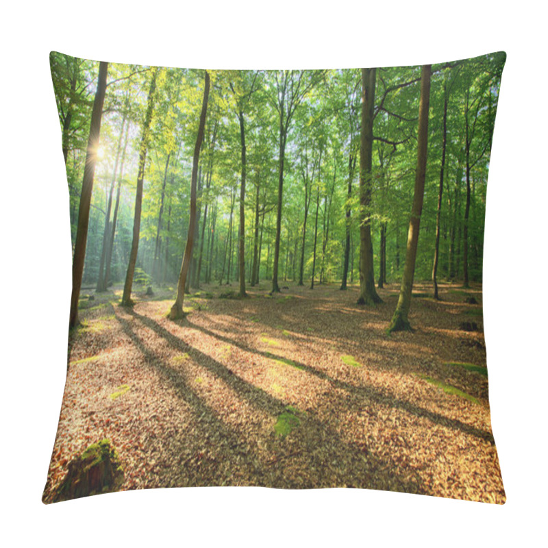 Personality  Autumn Morning In The Forest Pillow Covers