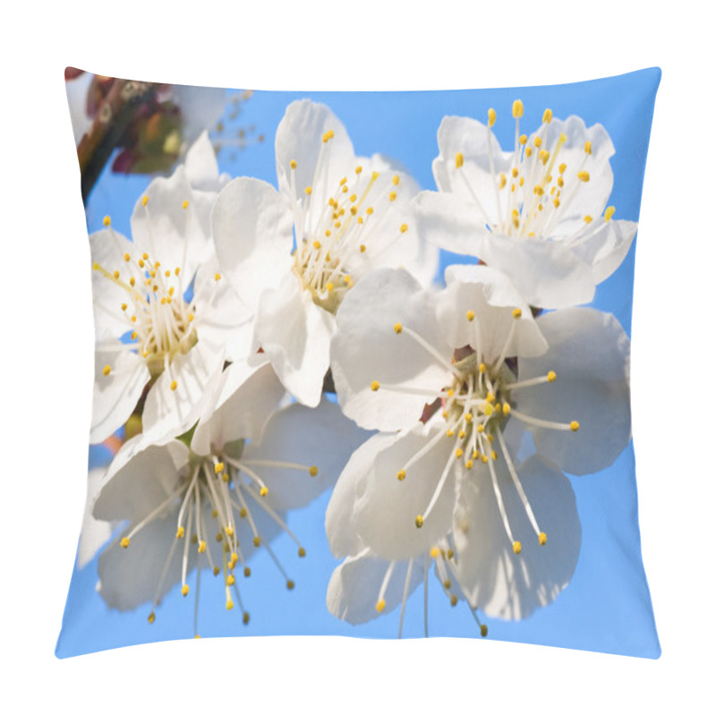 Personality  Blossoming Cherry-tree Twig Pillow Covers