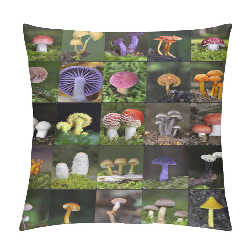 Personality  Wild Mushroom Collage. Collection Of Photos Of Various Edible And Inedible Mushrooms Photographed In The Forest. Romania, Europe Pillow Covers