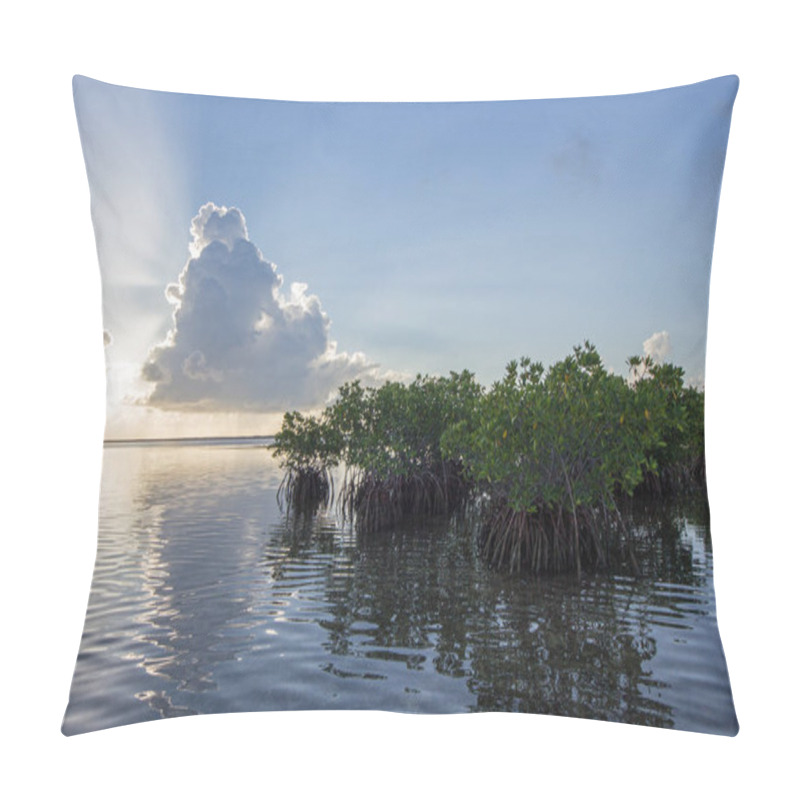 Personality  Sun Rays Behind Mangroves In Biscayne National Park, Florida. Pillow Covers