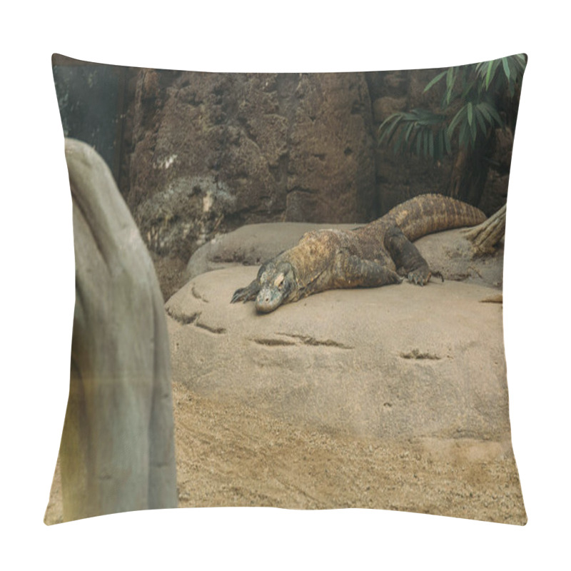 Personality  Varan Lizard Lying On Stone In Zoo, Barcelona, Spain Pillow Covers