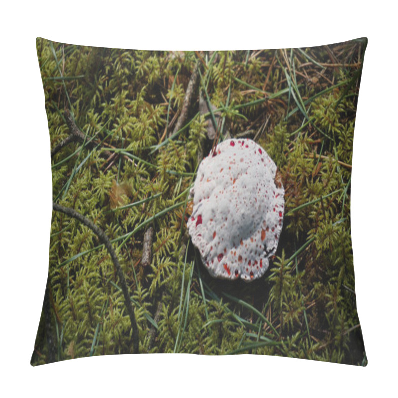 Personality  Bleeding Tooth Or Fungus, Round Hydnellum Peckii Growing Among Moss.  Pillow Covers