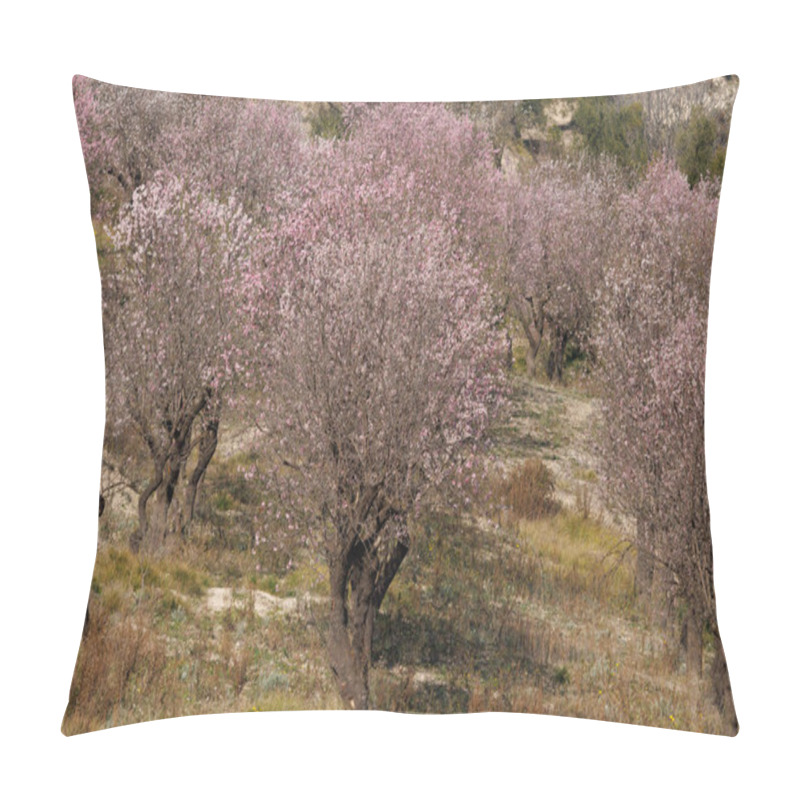 Personality  Almond Blossom Field In February, Alcoy, Spain Pillow Covers