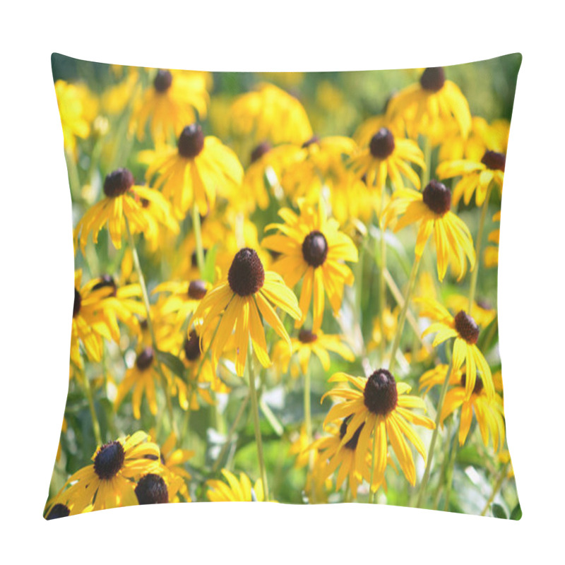 Personality  BLack Eyed Susan Flowers Pillow Covers