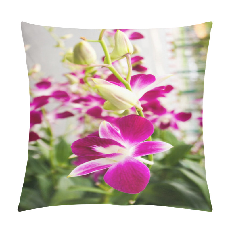 Personality  Vanda Purple Orchids Flower  Blooming Beautiful Nature  In Garden Park Thailand  Pillow Covers