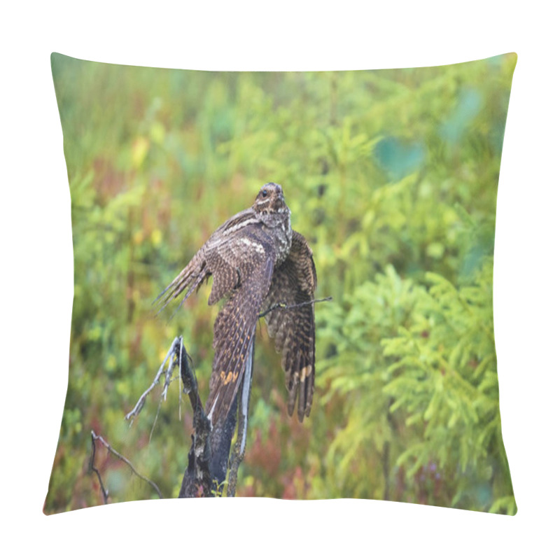 Personality  Female Nightjar Sitting On A Dry Tree Pillow Covers