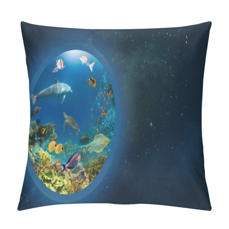 Personality  Conceptual Image Of World Ocean As A Planet Or Globe In Space. Environmental Protection Concept. Underwater World. Coral Reef And Fishes Of Red Sea Pillow Covers