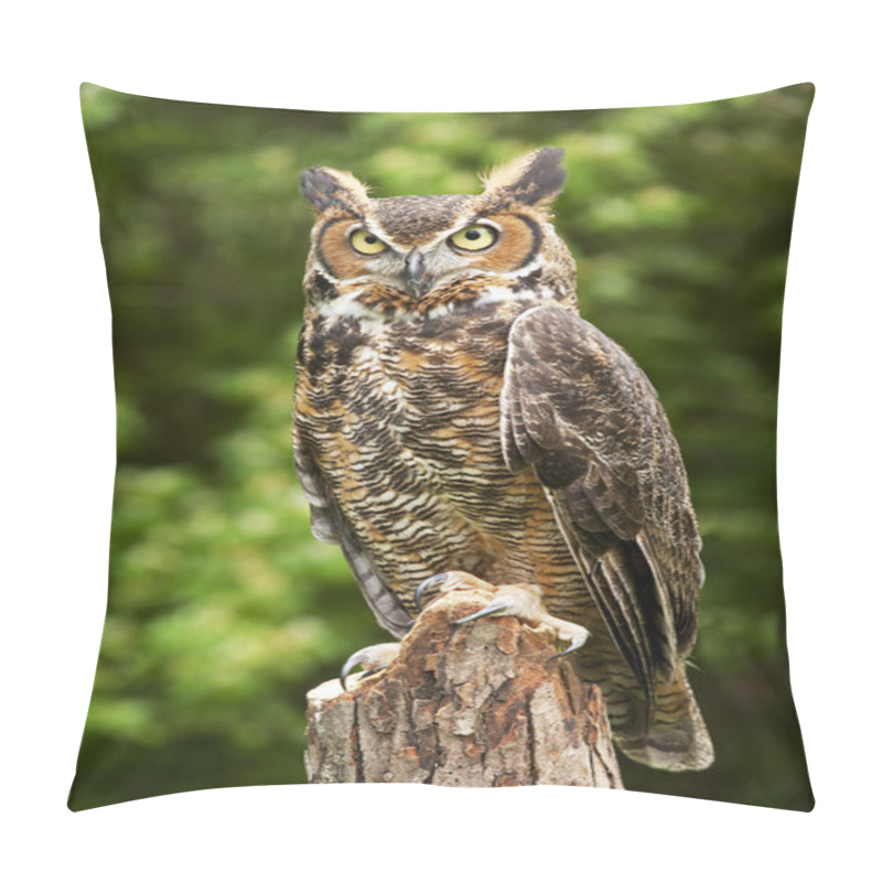 Personality  Great Horned Owl Pillow Covers