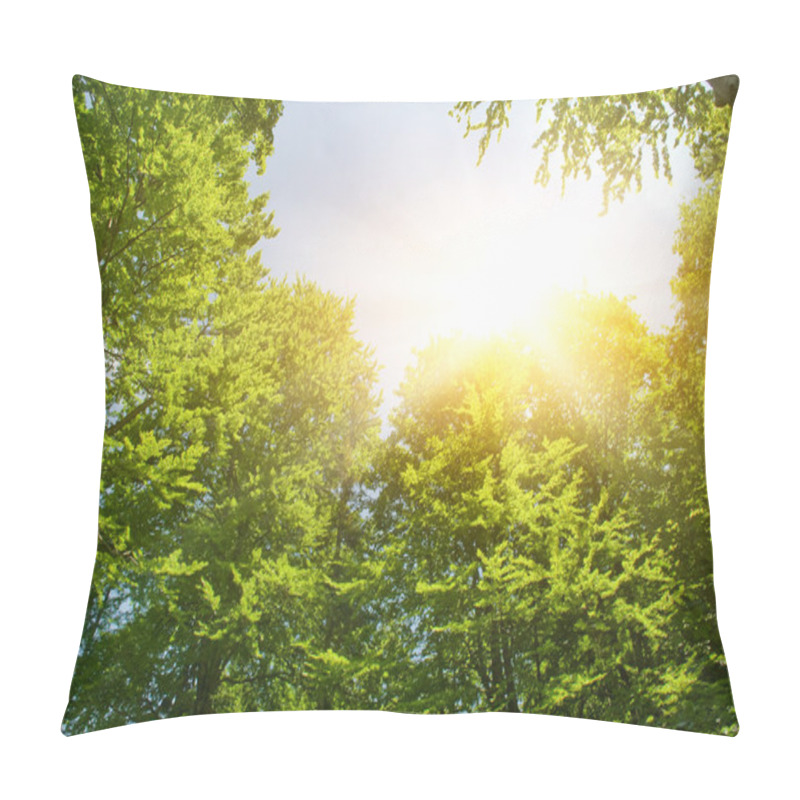 Personality  Sunshine In Forest Pillow Covers