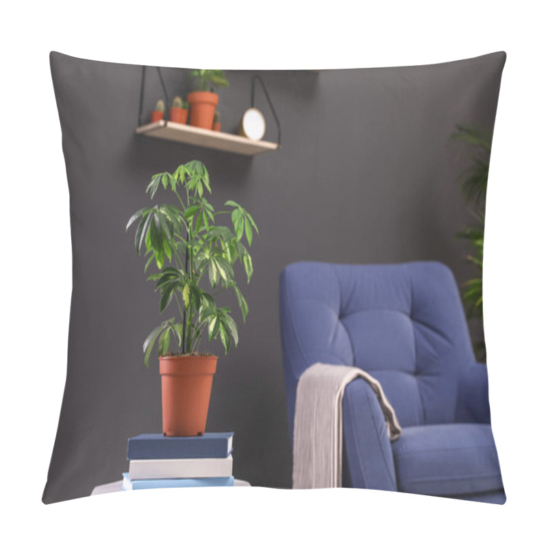 Personality  Beautiful Schefflera On Table At Armchair In Room Interior. Trendy Plants For Home Pillow Covers