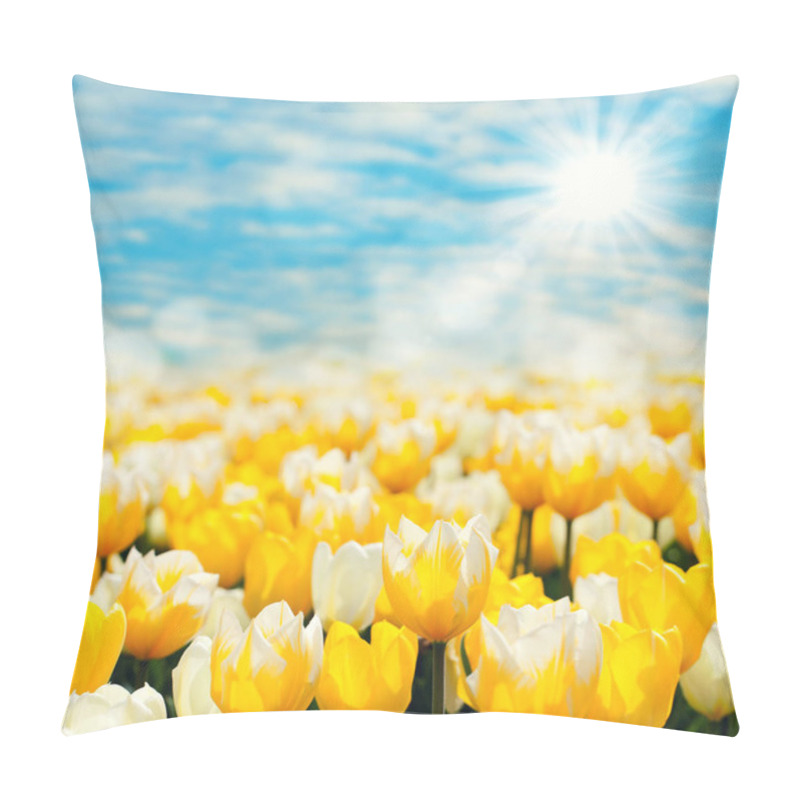 Personality  Tulips Flowers In Meadow, Spring Flora Pillow Covers