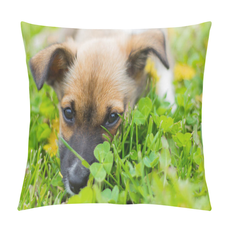 Personality  A Small Puppy Lies In The Grass With His Face Buried Pillow Covers