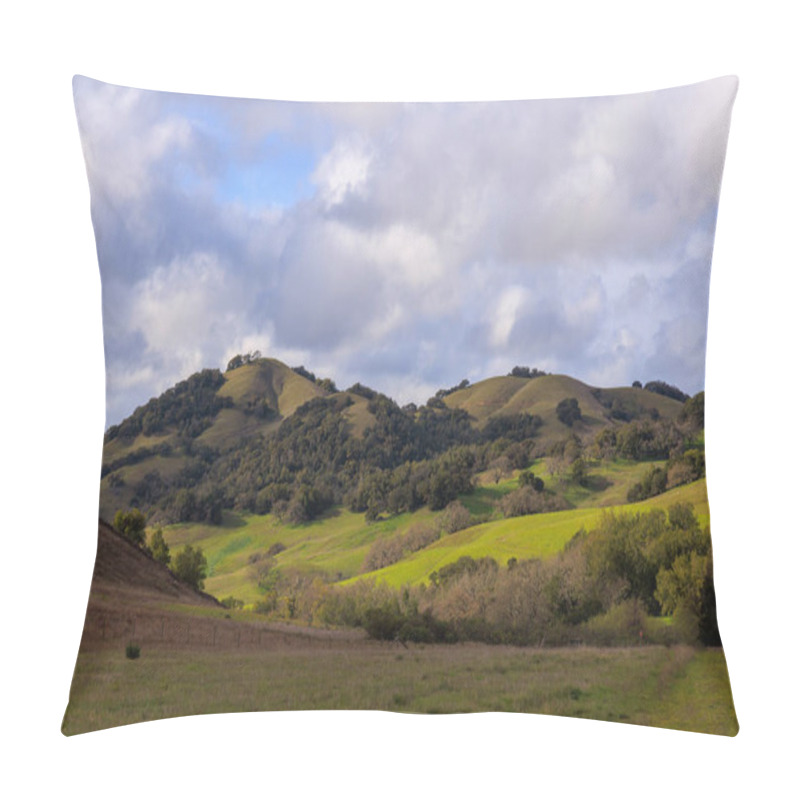 Personality  Sunlight On Green Rolling Hills In Northern California Landscape. High Quality Photo Pillow Covers