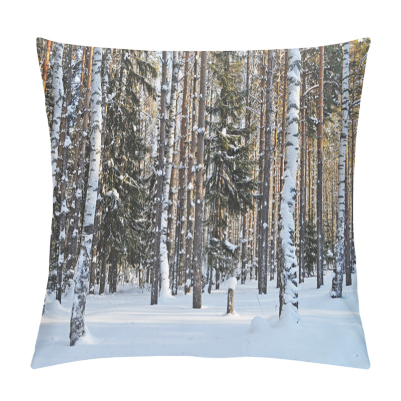 Personality  Birches And Firs Under Snow In Winter Forest Pillow Covers