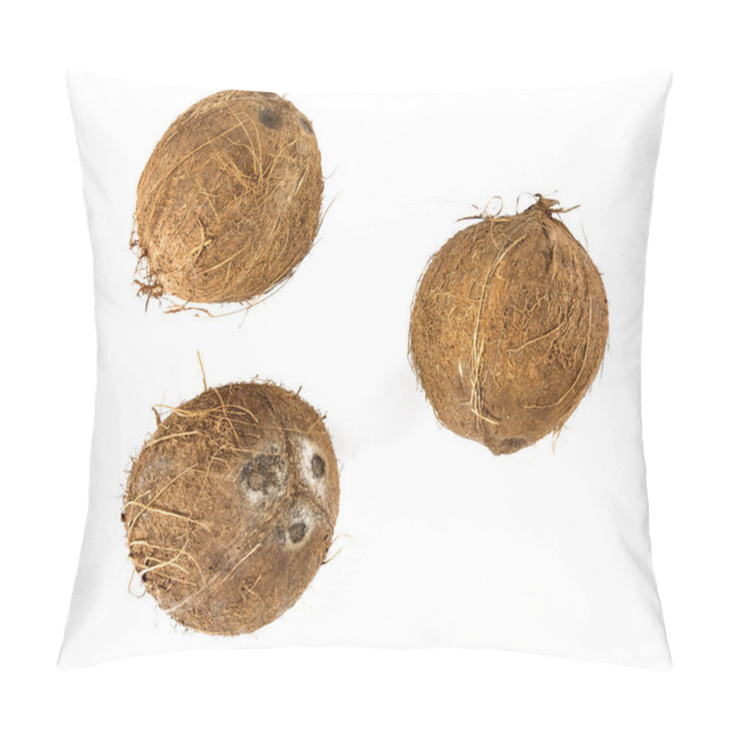 Personality  Coconuts Isolated On White Pillow Covers