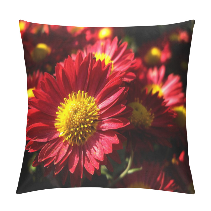 Personality  Fall Time Flower Pillow Covers