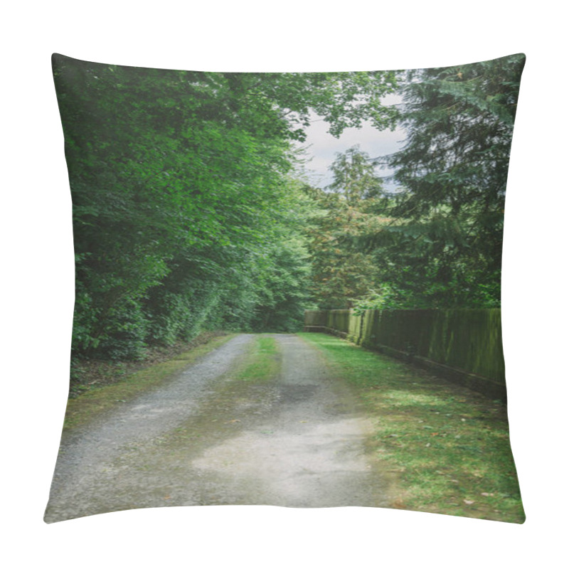 Personality  Road Near Fence And Green Trees In Wurzburg, Germany Pillow Covers