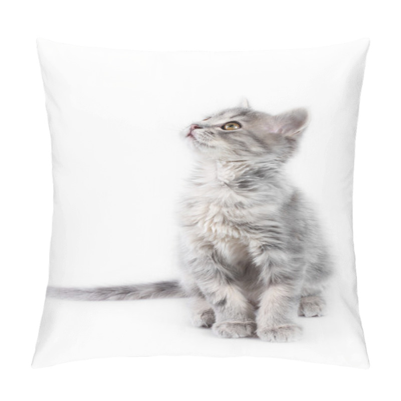 Personality  Grey Kitten Pillow Covers