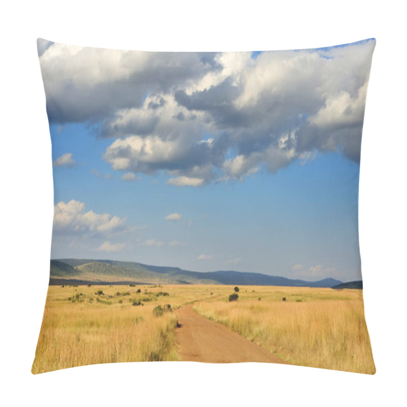 Personality  Savannah Landscape In The National Park In Kenya Pillow Covers