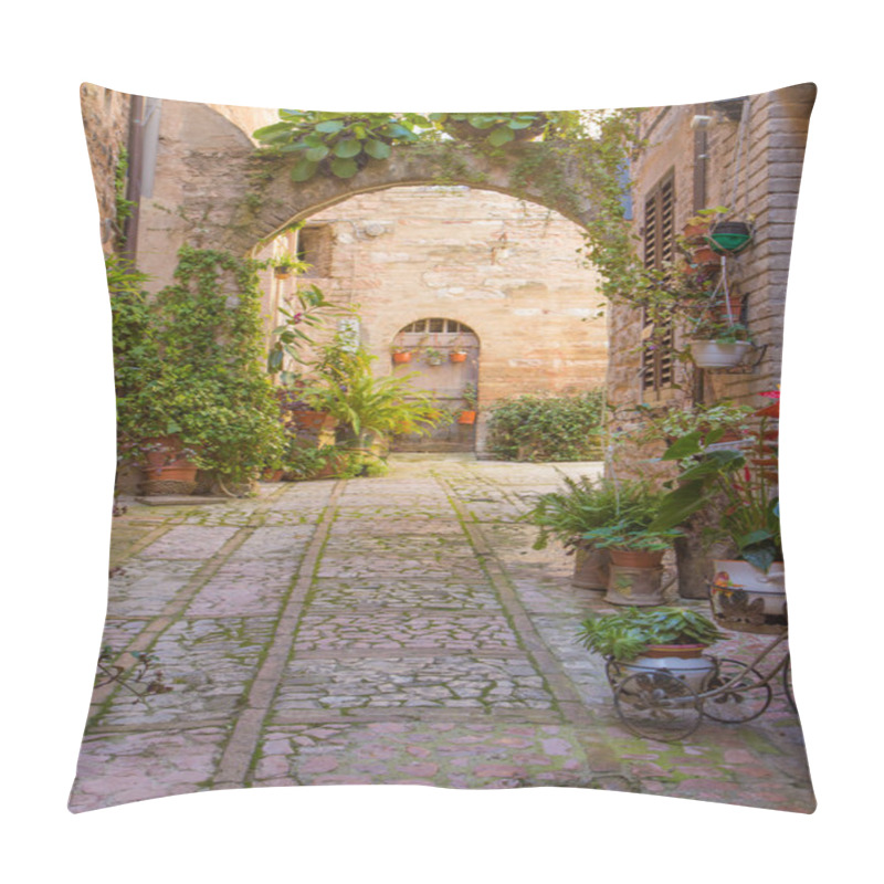 Personality  Street With Stone Arch Decorated With Plants (Spello) Pillow Covers