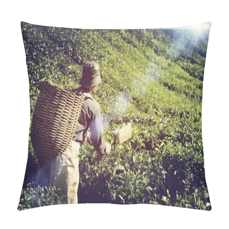 Personality  Farmer Picking Tea Leaves Concept Pillow Covers