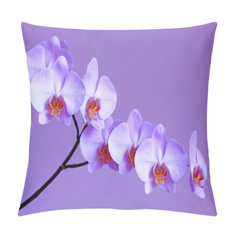 Personality  Pink orchid. Branch of the blooming decorative flower. Beautiful tender flowers pillow covers