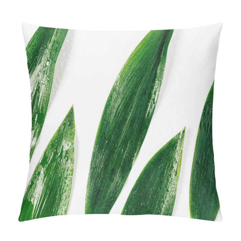 Personality  Top View Of Green Leaves With Water Drops On White Background Pillow Covers