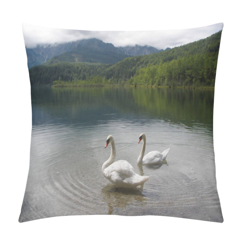 Personality  Scenic View Of Majestic Swans At Nature Pillow Covers