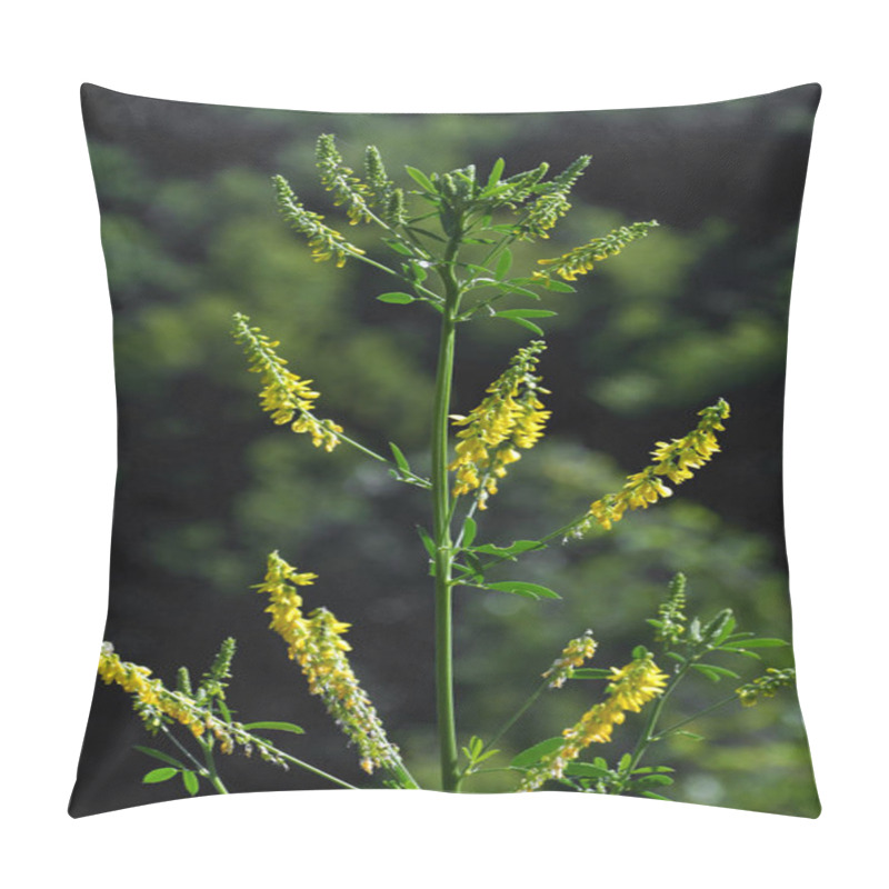 Personality  Melilotus Officinalis Yellow_3 Pillow Covers