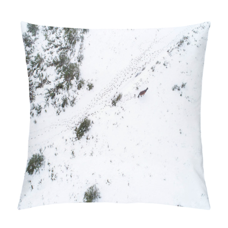 Personality  A Wild Horse In A Snowy Landscape, Aerial View From A Drone. Winter Nature Concept Background Pillow Covers