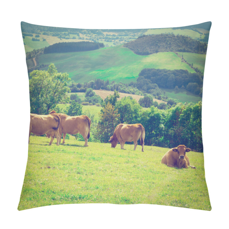 Personality  Cows Pillow Covers