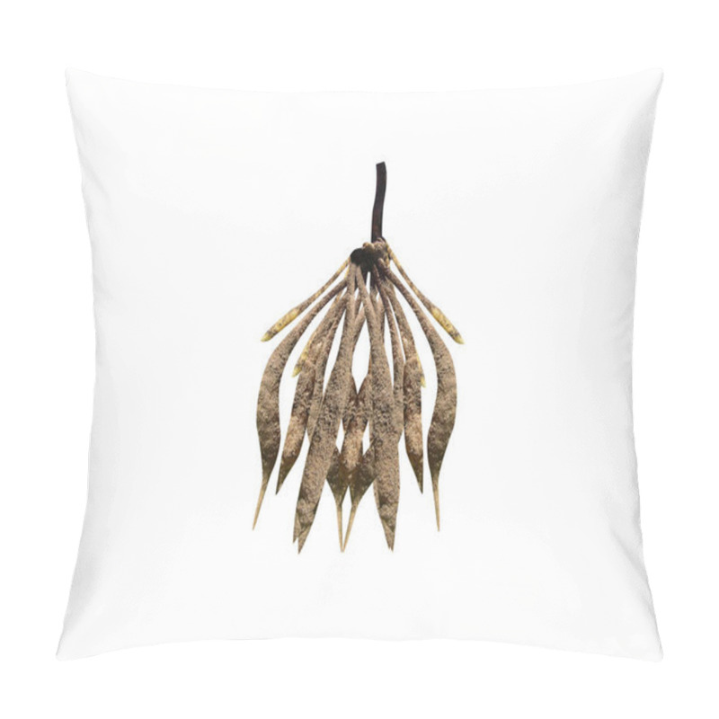 Personality  Murdannia Or Asiatic Dewflower Roots Isolated On White Background Pillow Covers